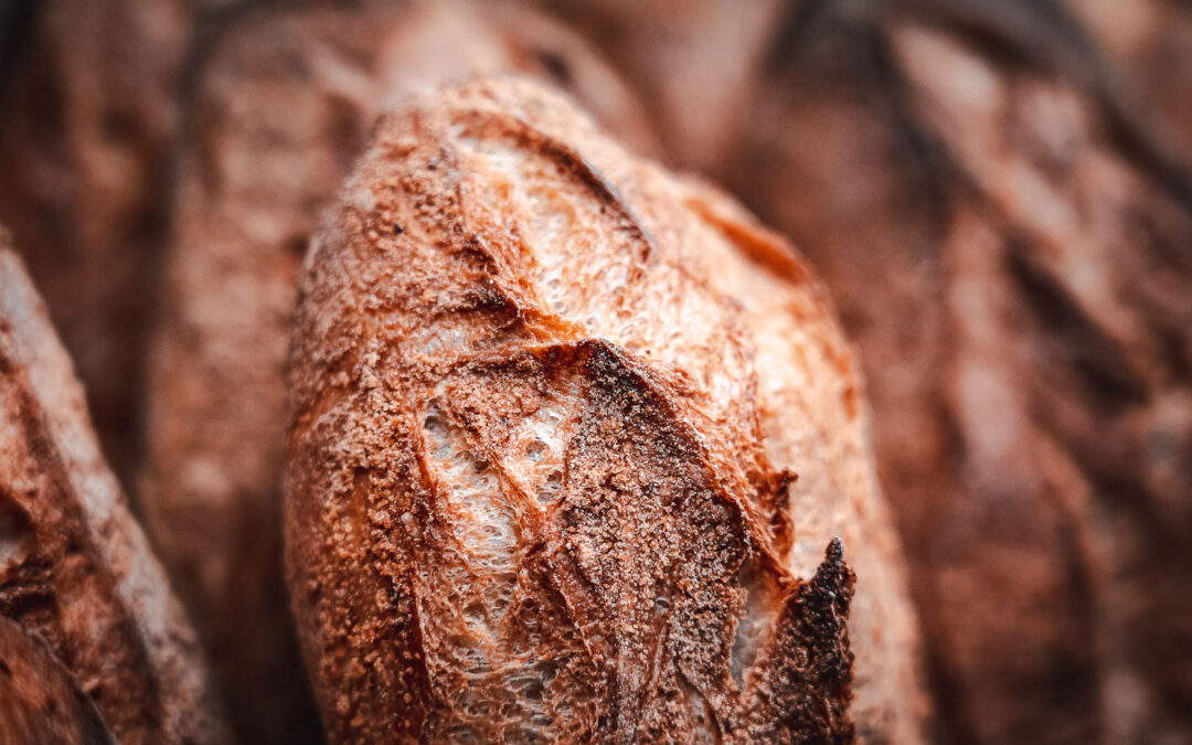 Boulangerie-pâtisserie dans le Haut-Rhin : l’histoire de Mathilde et Alex depuis 2020