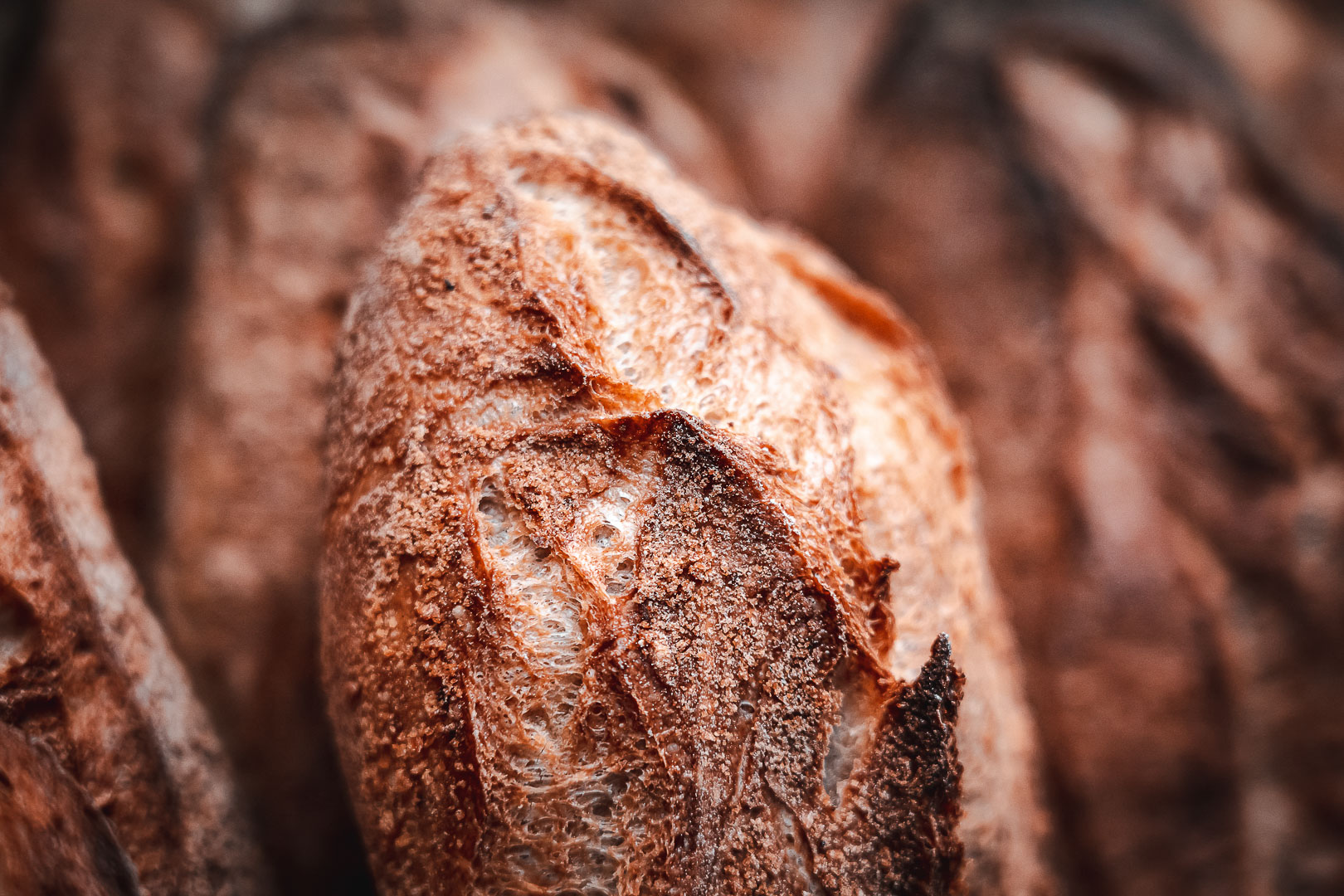 MathildeEtAlex-1920p-8 Boulangerie-pâtisserie dans le Haut-Rhin